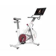 Велотренажер для дома Yesoul BS3-W PRO PLUS